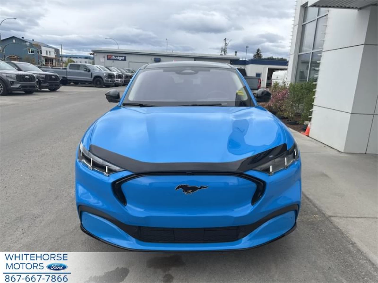 2024 Ford Mustang Mach-E Premium AWD Main Image