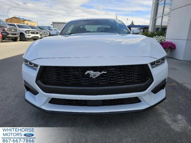 Ford Mustang EcoBoost 2024