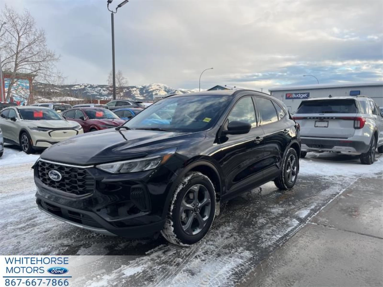 2025 Ford Escape ST-Line Main Image