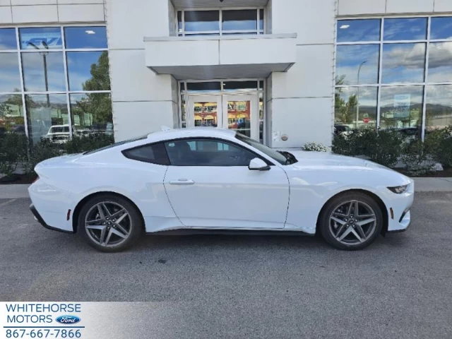 Ford Mustang EcoBoost 2024