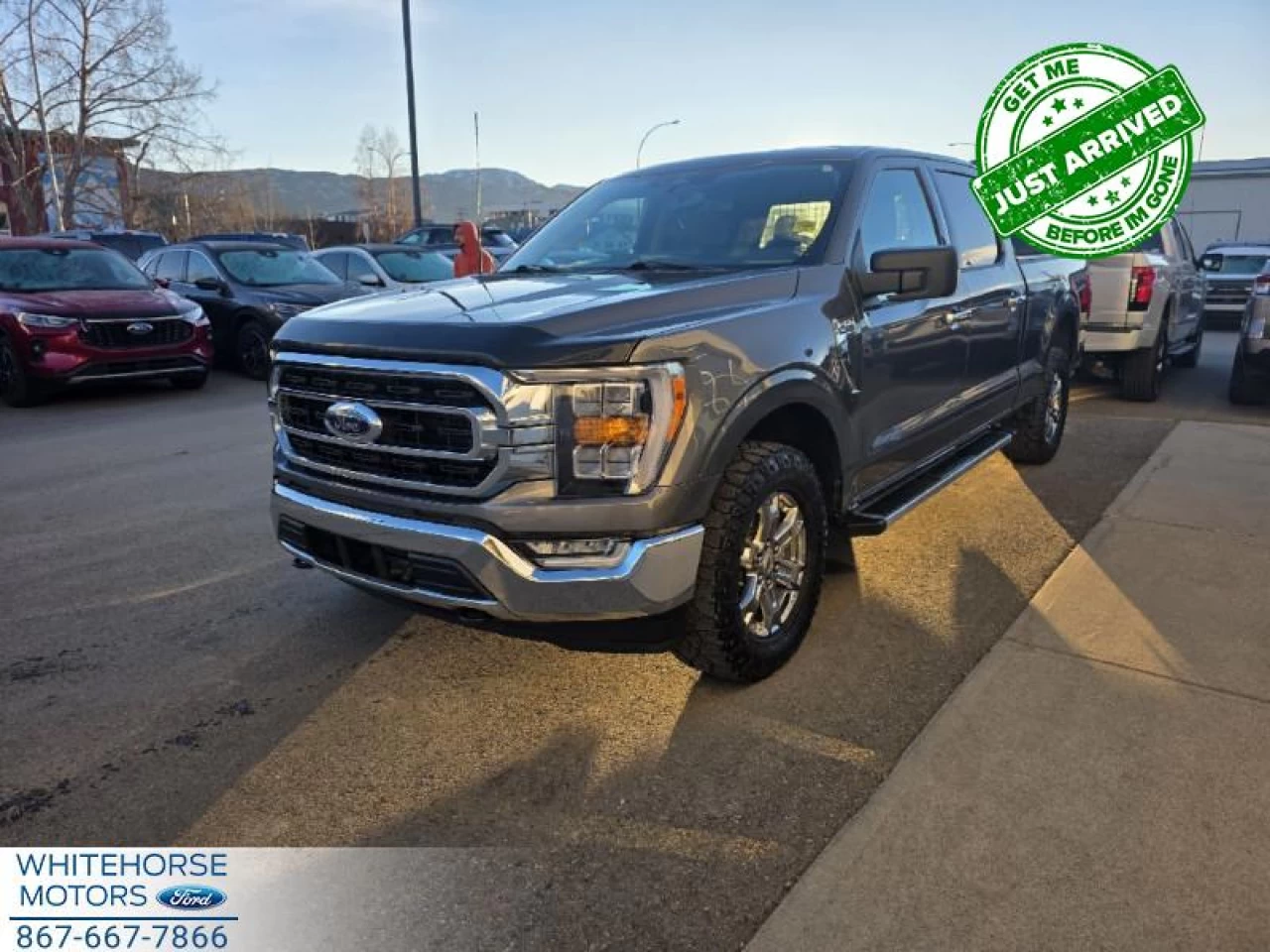 2023 Ford F-150 XLT Main Image