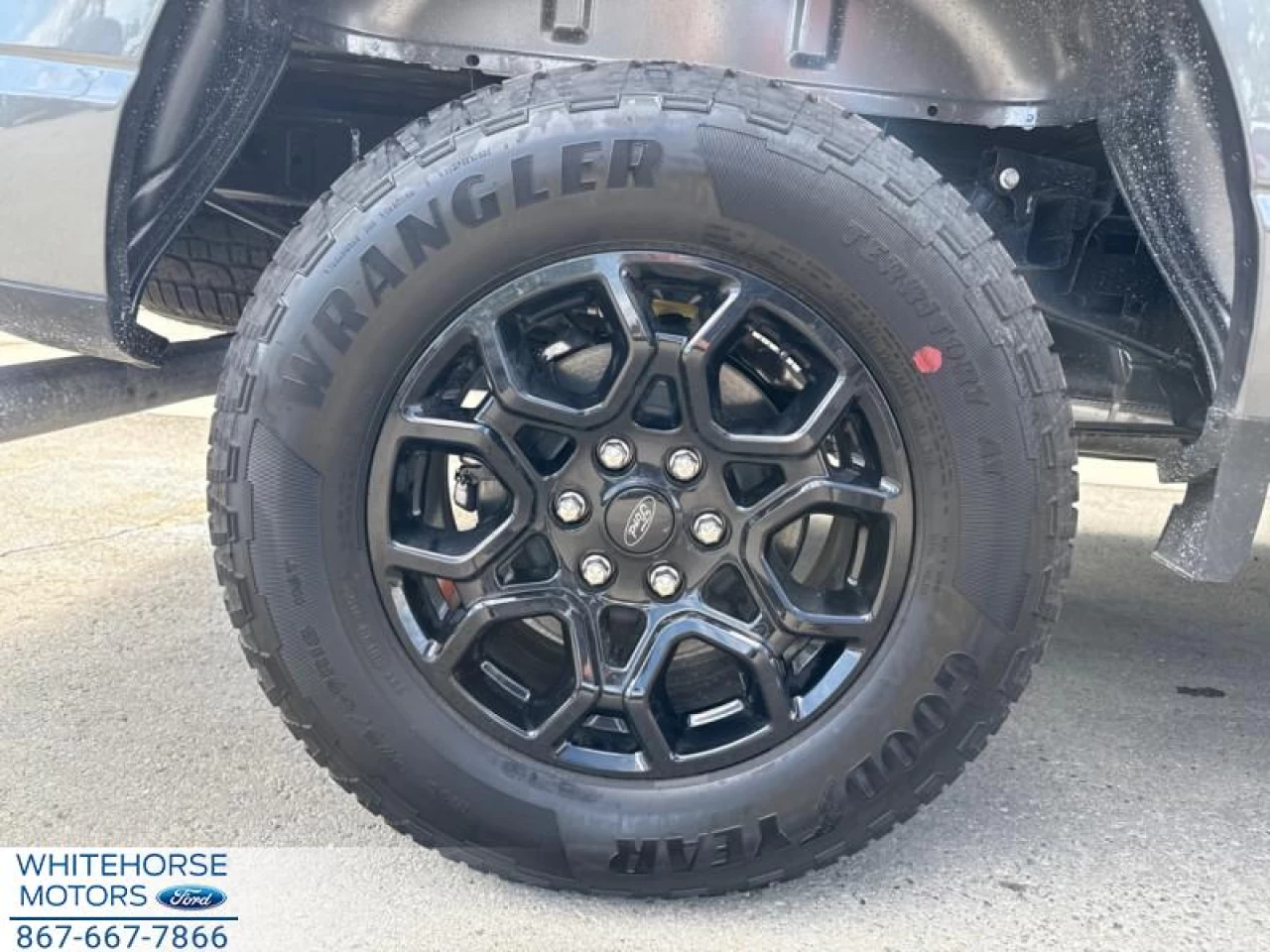 2025 Ford F-150 XLT Main Image
