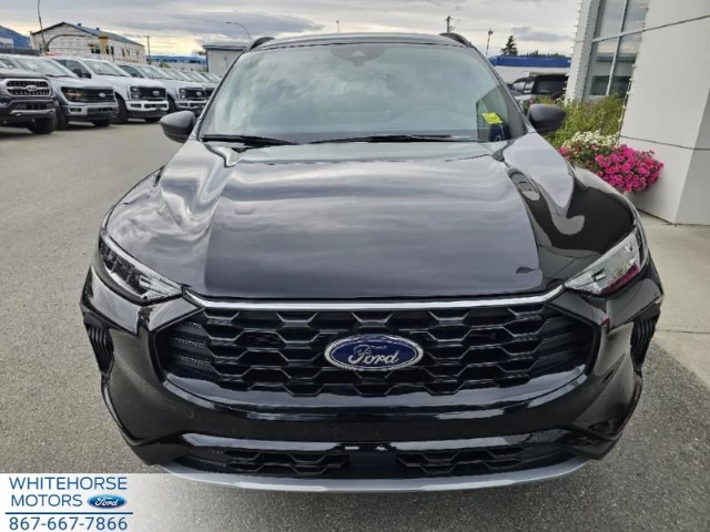 Ford Escape ST-Line 2024