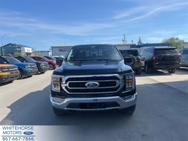 Ford F-150 XLT 2023