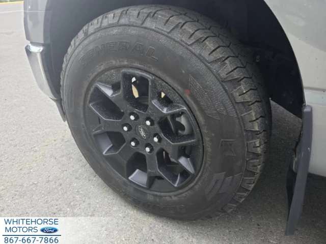 Ford F-150 XLT 2023