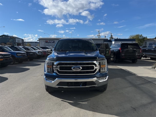 Ford F-150 XLT 2023