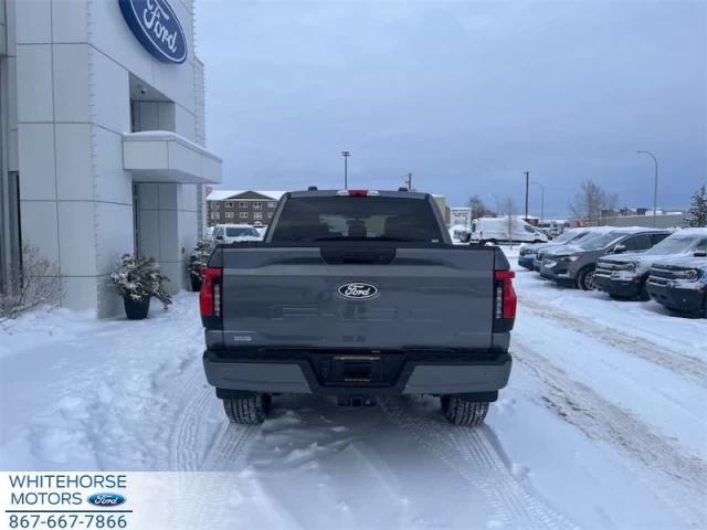 Ford F-150 Lightning Flash 2025