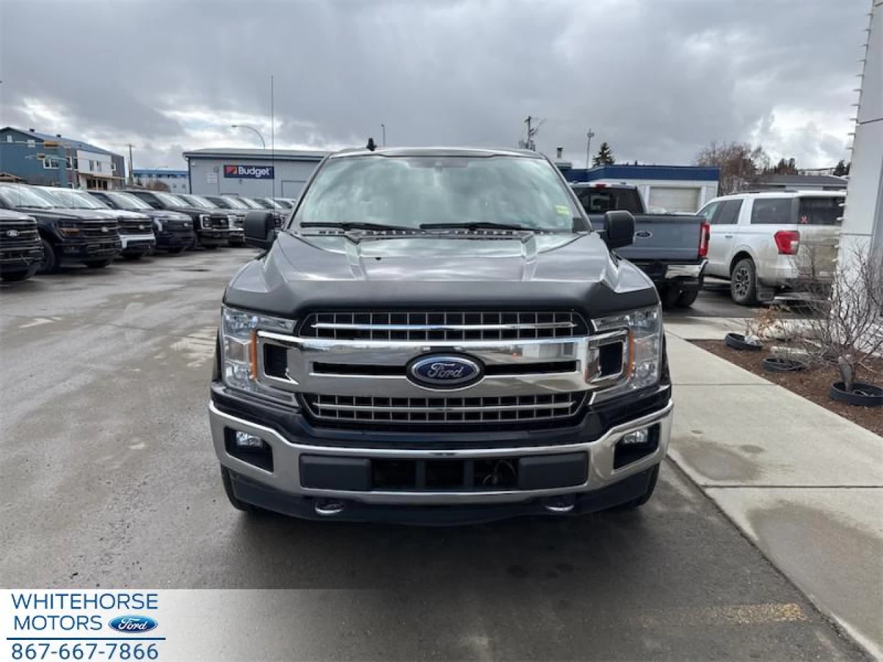 2019 Ford F-150 XLT Image principale