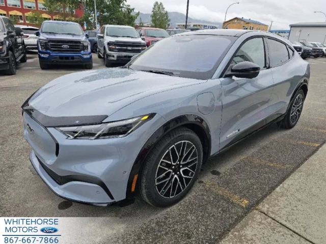 Ford Mustang Mach-E Premium AWD 2024