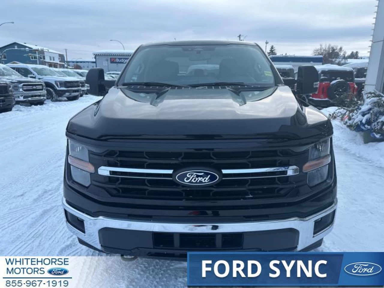 2024 Ford F-150 XLT Image principale