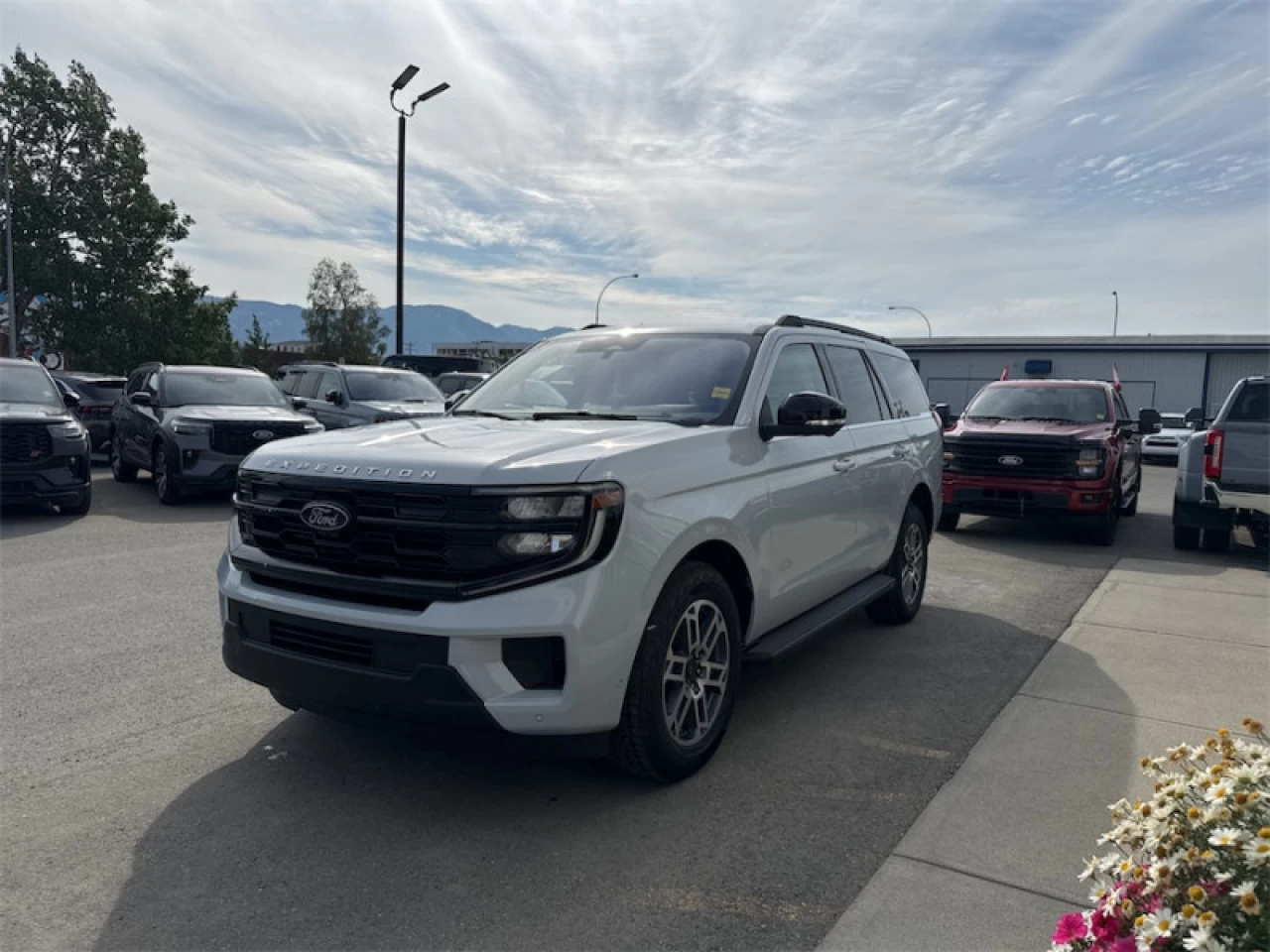 2025 Ford Expedition Active Image principale