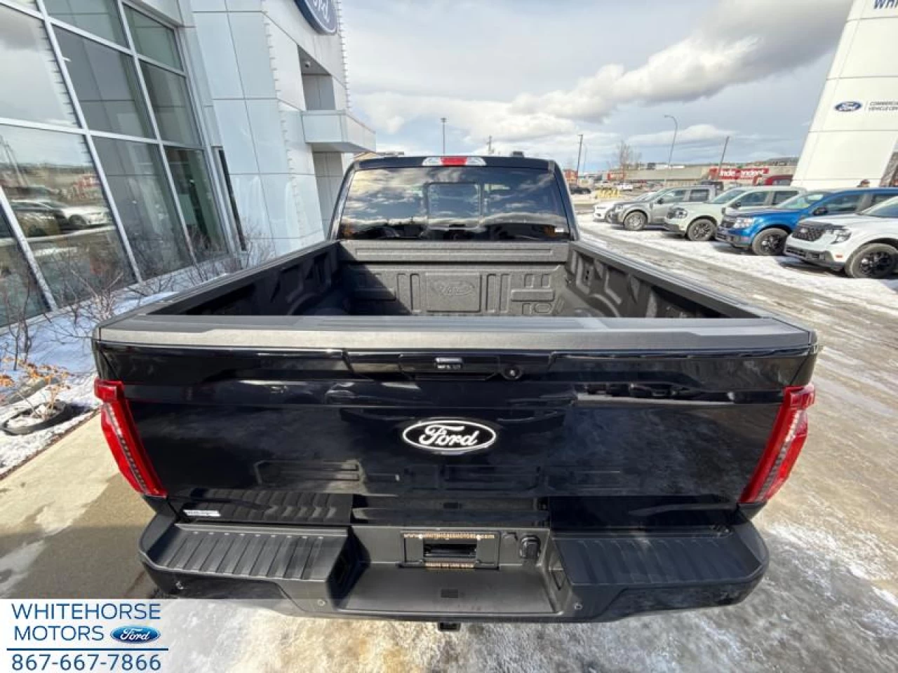 2025 Ford F-150 XLT Main Image