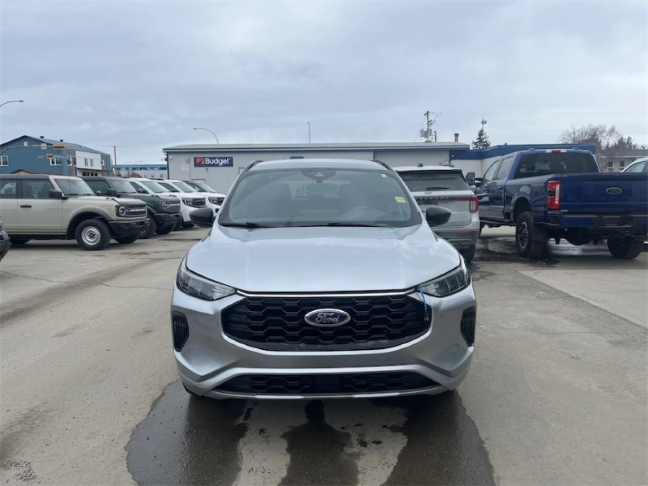2024 Ford Escape ST-Line Image principale