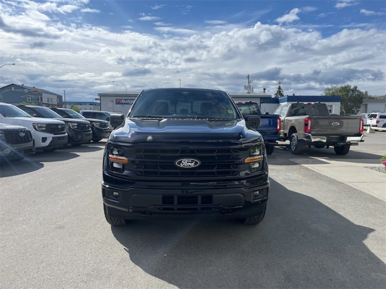 2026 Ford F-150 XLT Image principale
