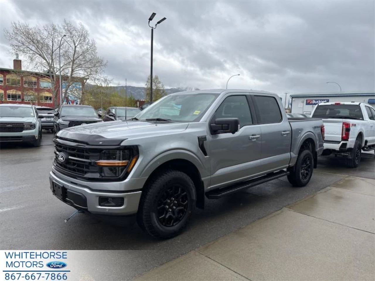 2025 Ford F-150 XLT Main Image