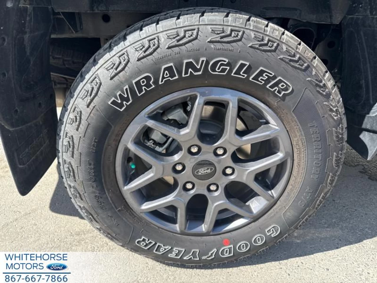 2024 Ford Ranger XLT Main Image