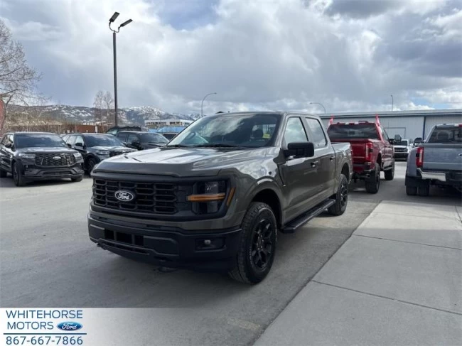 Ford F-150 - 2025
