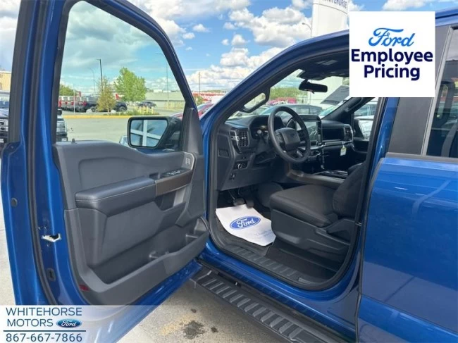 Ford F-150 - 2025