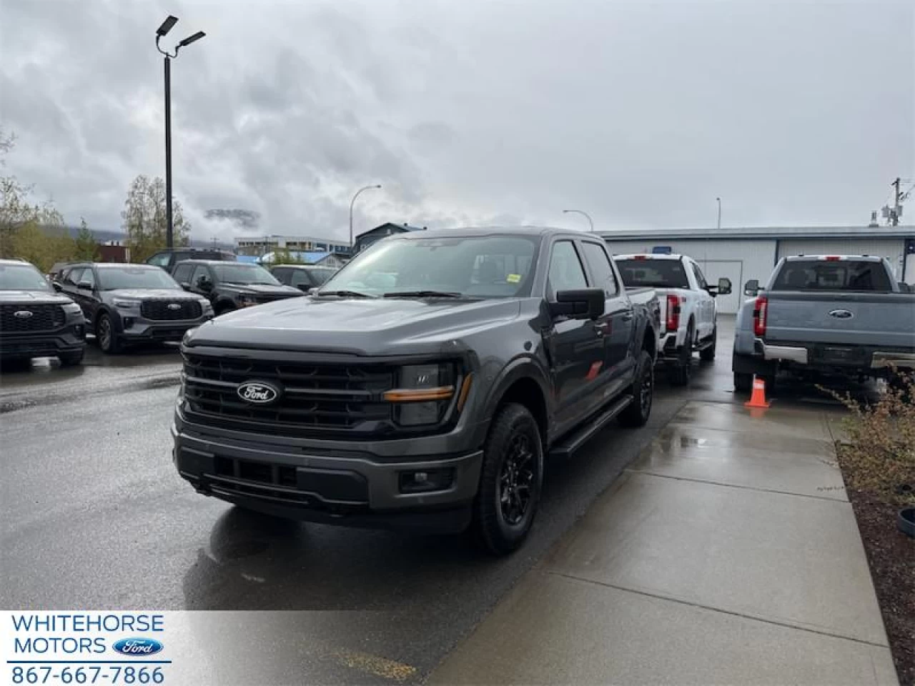 2025 Ford F-150 XLT Image principale