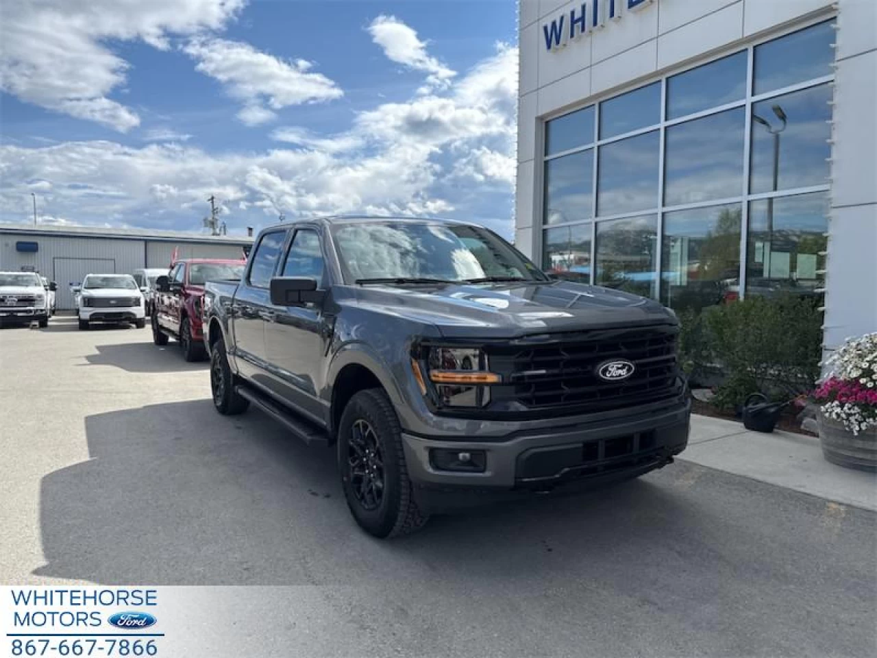 2025 Ford F-150 XLT Main Image