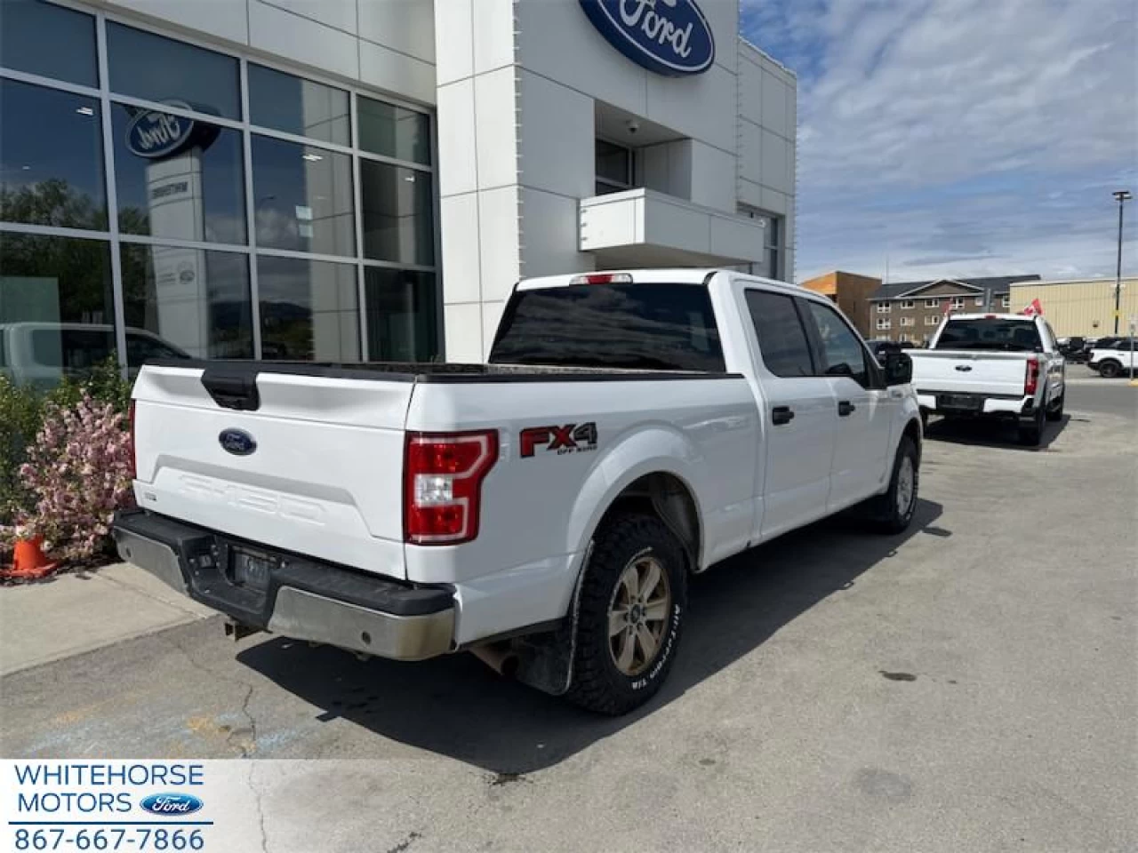 2020 Ford F-150 XLT Image principale