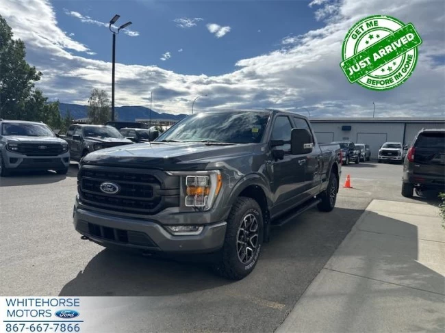 Ford F-150 - 2023