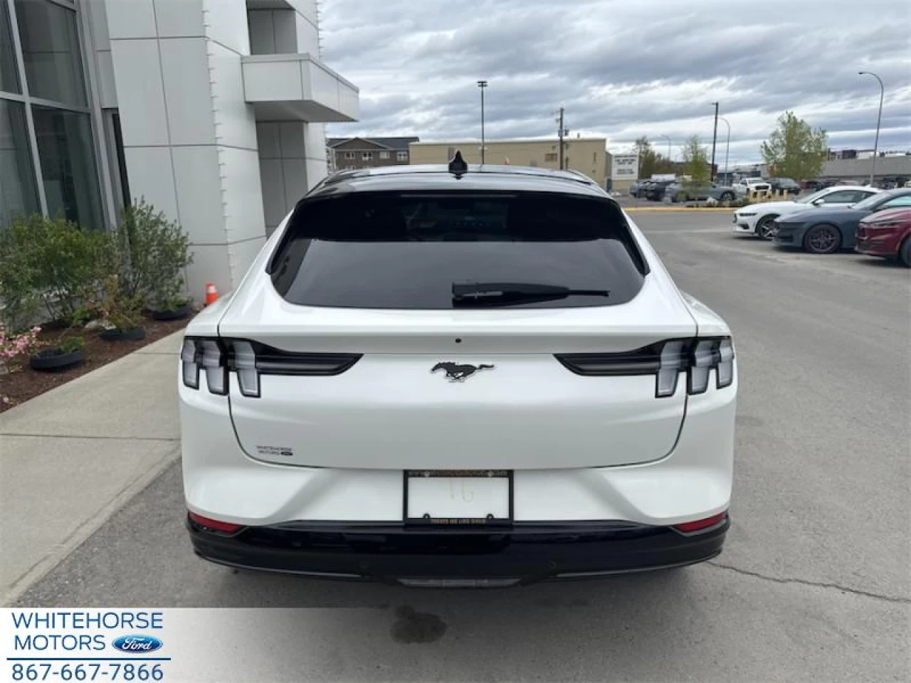2024 Ford Mustang Mach-E Premium AWD Main Image