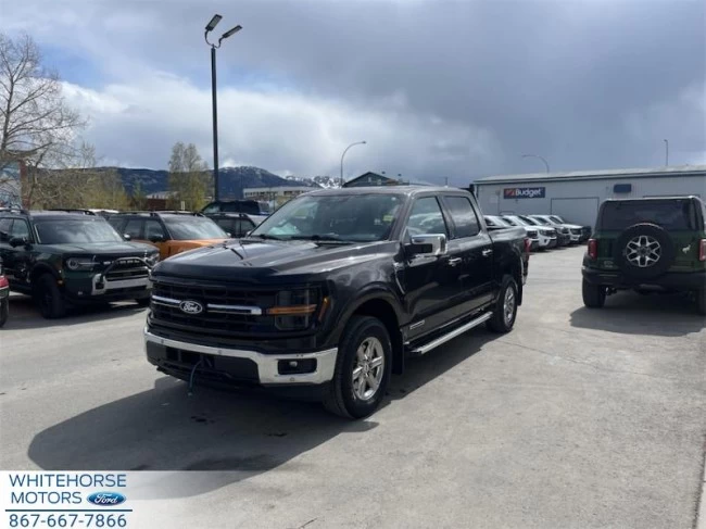 Ford F-150 - 2024