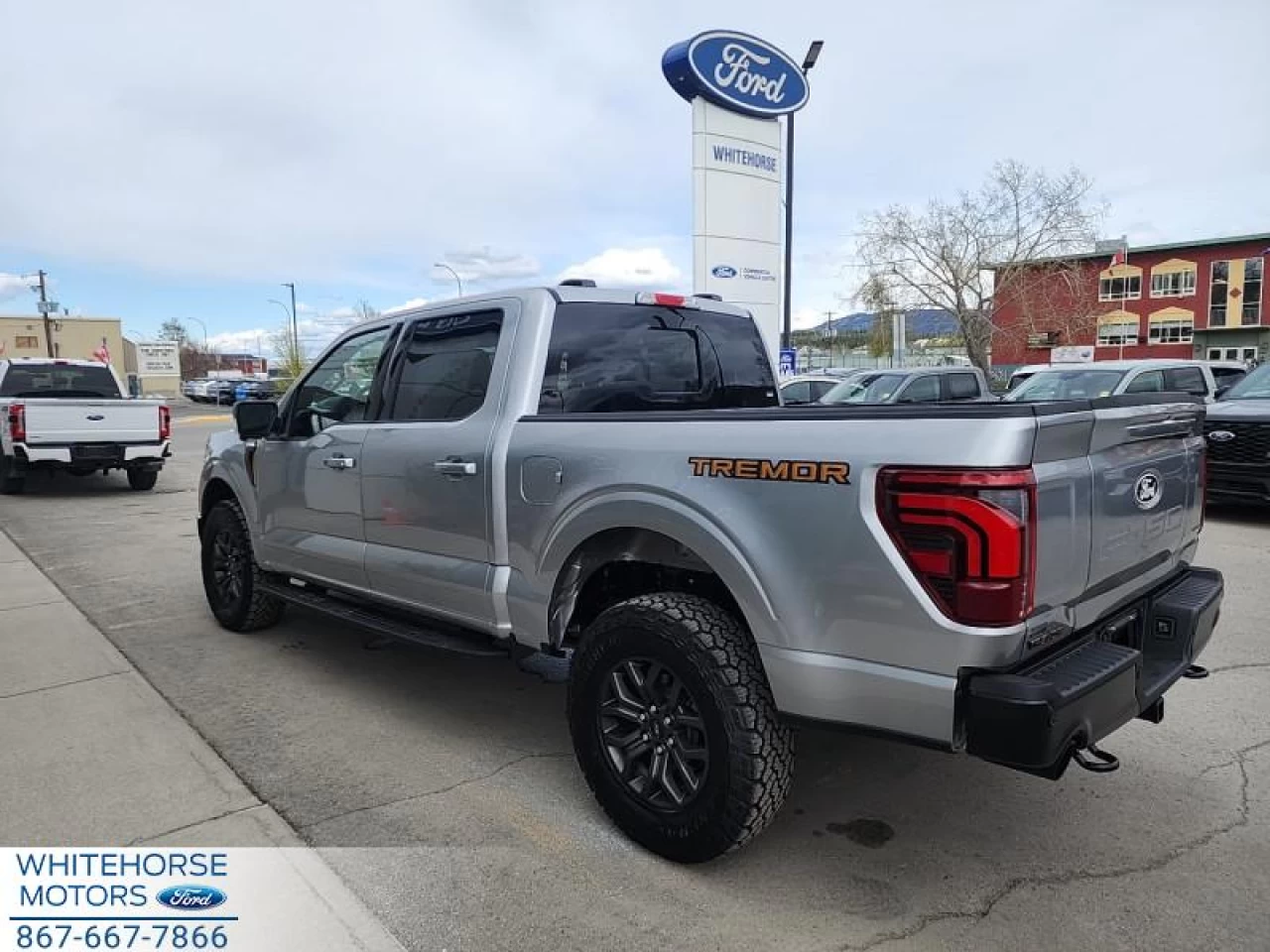 2025 Ford F-150 Tremor Main Image