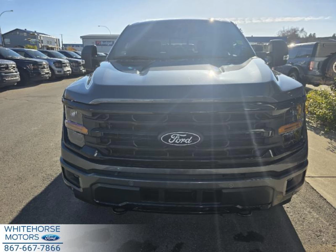 2025 Ford F-150 XLT Image principale