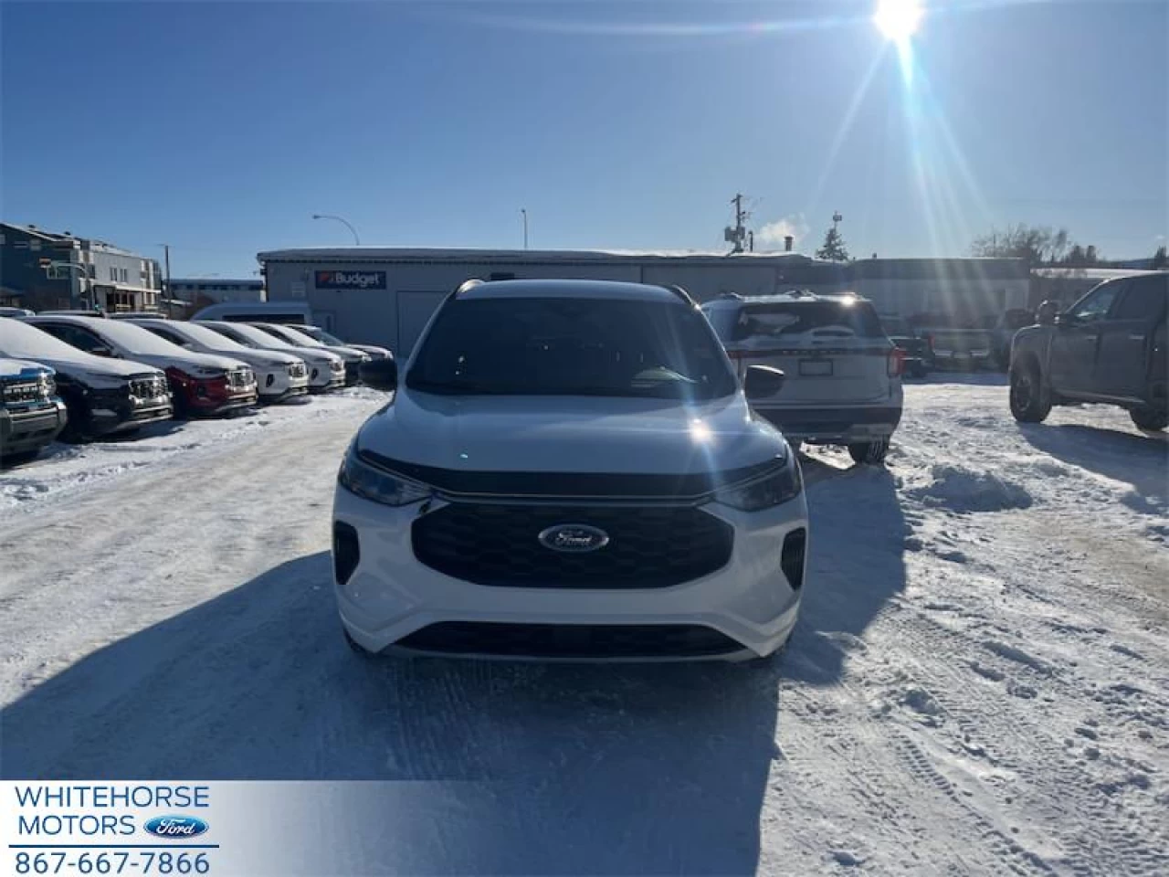 2024 Ford Escape ST-Line Main Image