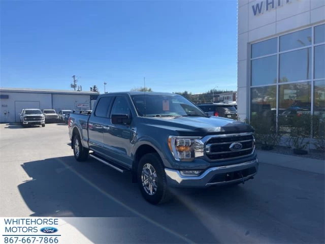Ford F-150 XLT 2023