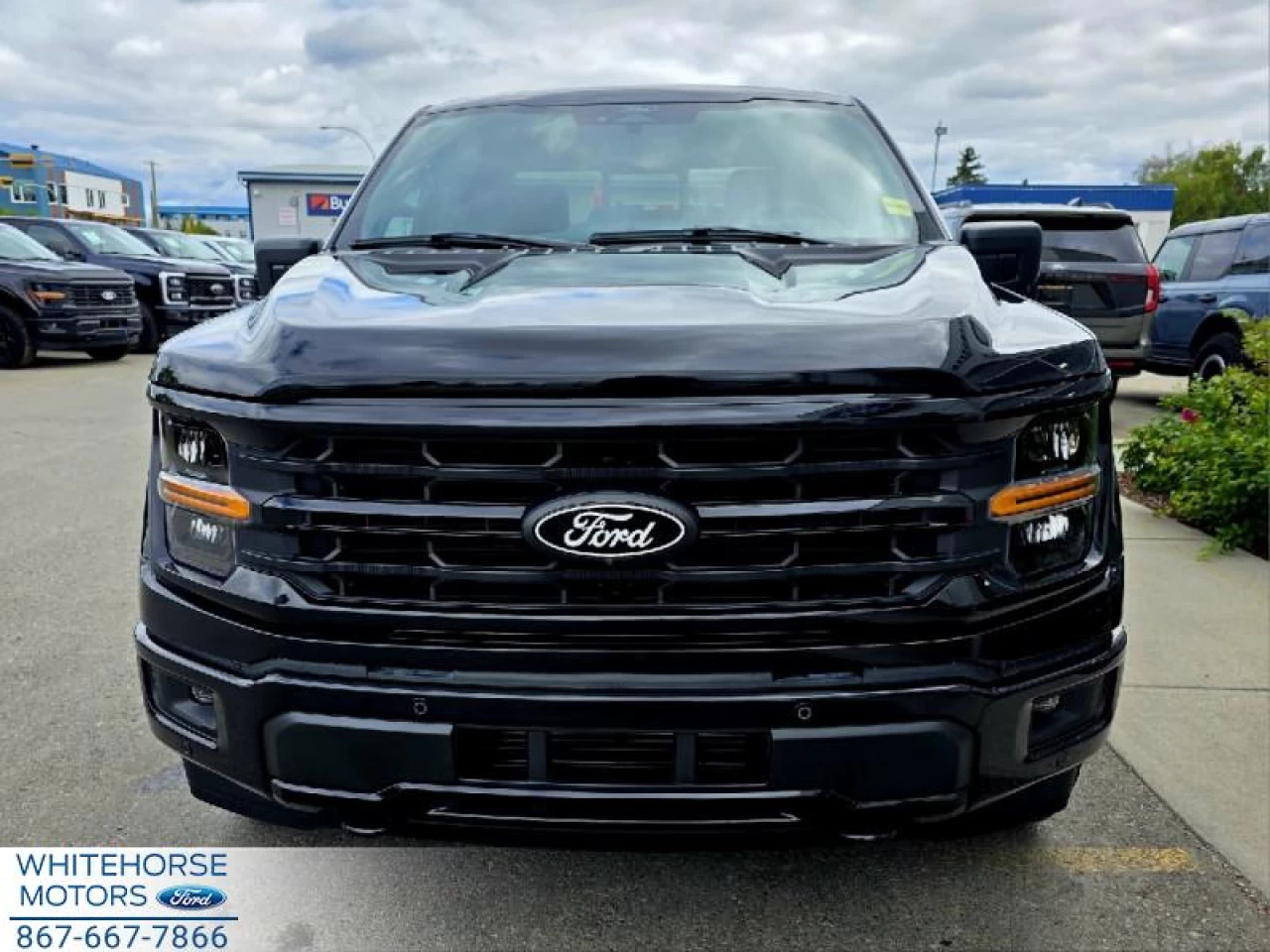 2025 Ford F-150 XLT Main Image
