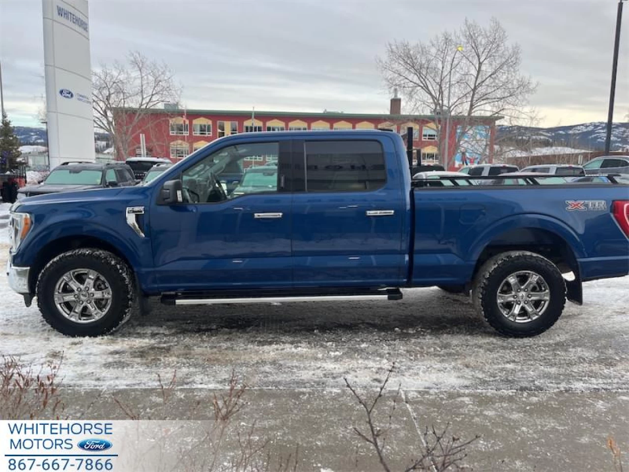 2023 Ford F-150 XLT Main Image