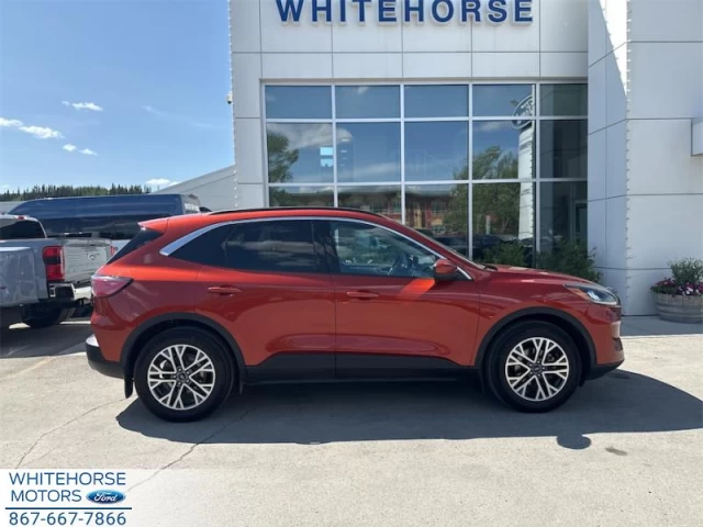 Ford Escape SEL 4WD 2020