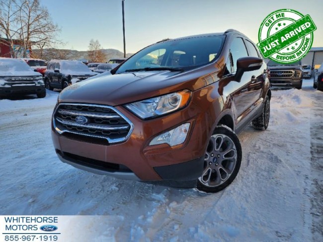 Ford EcoSport - 2019
